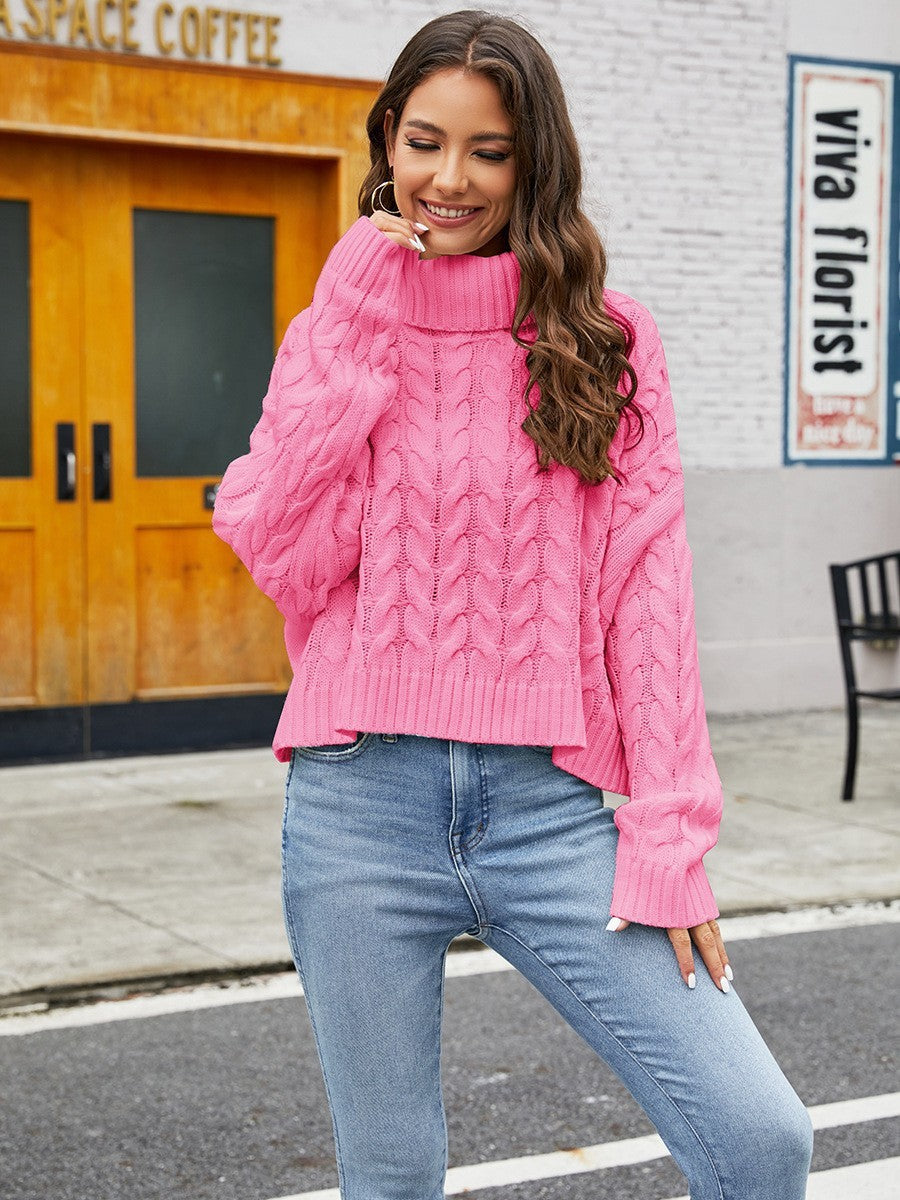 Solid Cable Knit Winter Turtleneck