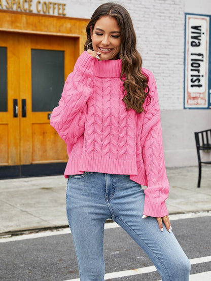 Solid Cable Knit Winter Turtleneck