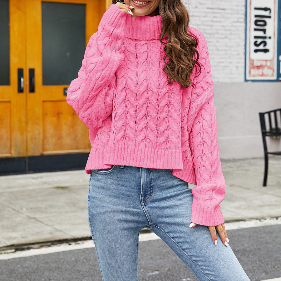 Solid Cable Knit Winter Turtleneck