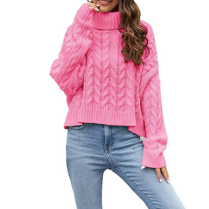 Solid Cable Knit Winter Turtleneck