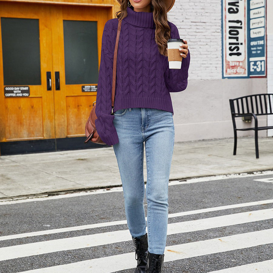 Solid Cable Knit Winter Turtleneck